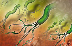 胃幽门螺杆菌传染途径有哪些？